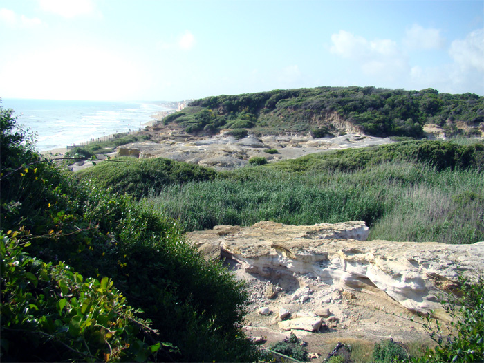 Tor Caldara - Riserva  Naturale Regionale